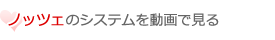 ノッツェの結婚情報サービスの魅力は？